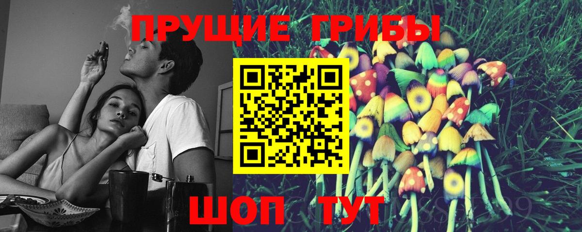 купить наркотики цена  Псилоцибиновые грибы Psilocybe  Вход с VPN  Киселёвск 